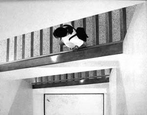 entrance pg18.jpg (15409 bytes)