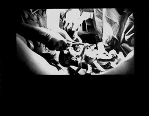 Entrance-pg6.jpg (15794 bytes)